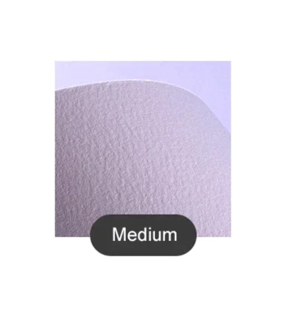 Baohong - Masters' Choice CP 380x560 -arkusz