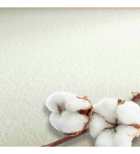 The Collection Watercolour 300g CP 56x76 arkusz