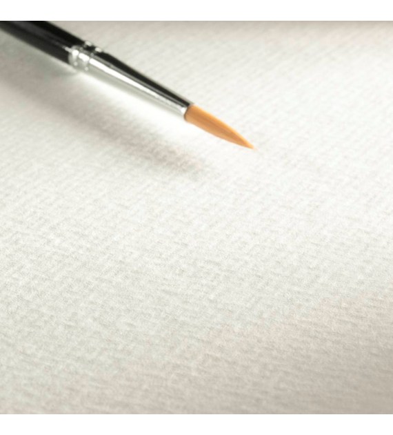 The Collection Watercolour 300g RGH 56x76 arkusz