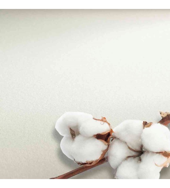 The Collection Watercolour 300g HP 56x76 arkusz