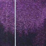 QoR 11ml Interference Violet - akwarela