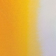 Mission Gold Class 15ml C PERMANENT YELLOW LIGHT