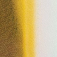Mission Gold Class 15ml C GREENISH YELLOW