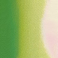 Mission Gold Class 15ml B YELLOW GREEN
