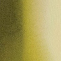 Mission Gold Class 15ml C OLIVE GREEN