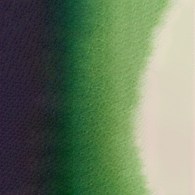 Mission Gold Class 15ml B HOOKER’S GREEN