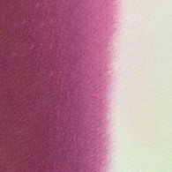 Mission Gold Class 15ml C RED VIOLET
