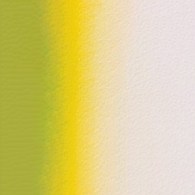 Mission Gold Class 15ml B LEAF GREEN