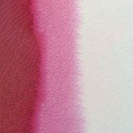 Mission Gold Class 15ml D COMPOSE ROSE