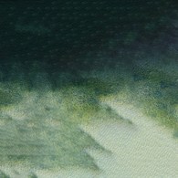 Mission 2 Tone Granulation 15ml D Jade Green