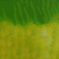 Mission 2 Tone Granulation 15ml D Grass Green
