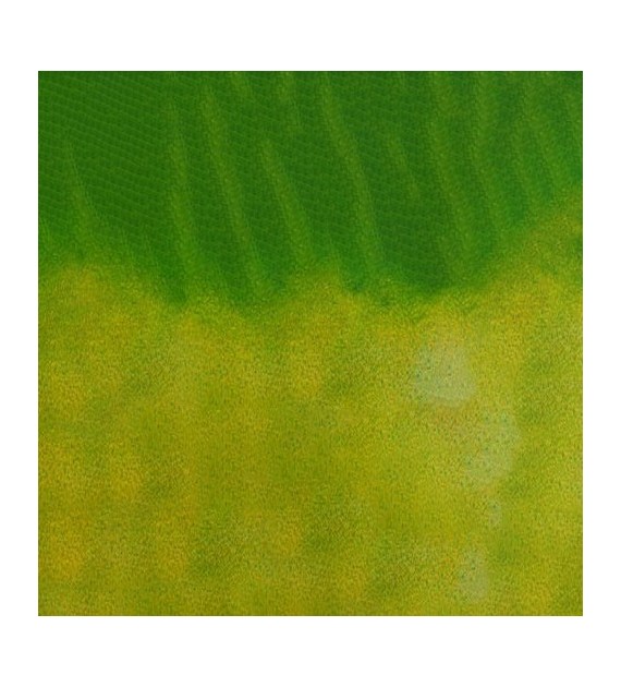 Mission 2 Tone Granulation 15ml D Grass Green