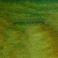 Mission 2 Tone Granulation 15ml D Moss Green