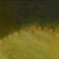 Mission 2 Tone Granulation 15ml D Green Ochre
