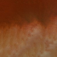 Mission 2 Tone Granulation 15ml D Sunset Orange