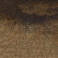Mission 2 Tone Granulation 15ml C Coffee Brown