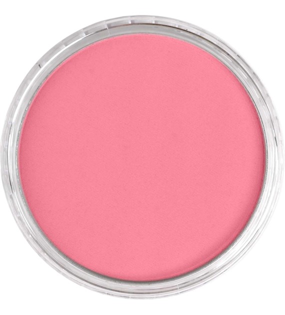 PanPastel Permanent Red Light 9ml