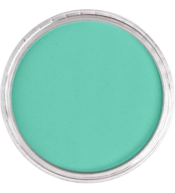 PanPastel Phthalo Green Light 9ml