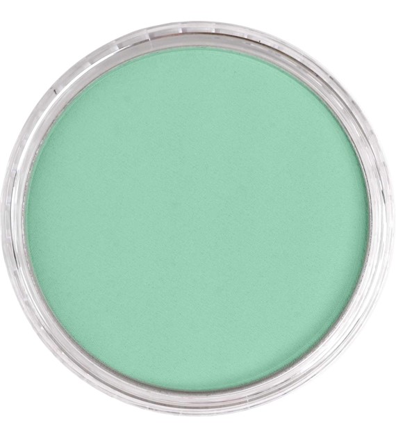 PanPastel Permanent Green Light 9ml