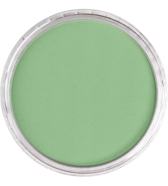 PanPastel Chromium Oxide Green Light 9ml