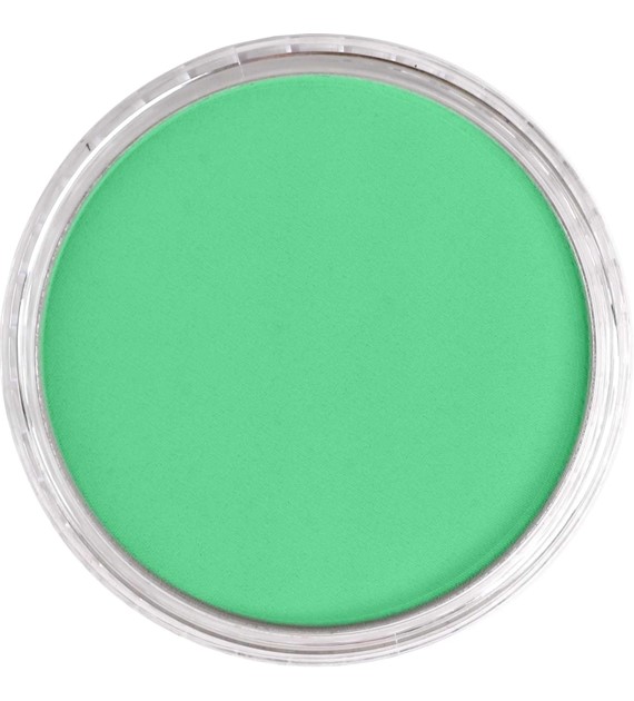 PanPastel Blue Green Light 9ml