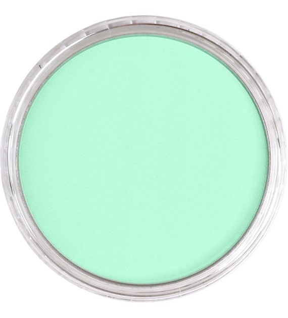PanPastel Blue Green Tint 9ml