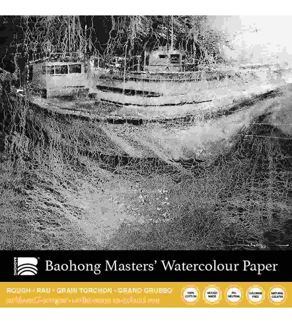 Baohong - Masters' Choice Rough 300x300 20k -blok