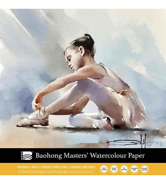 Baohong - Masters' Choice Rough 400x400 20k -blok