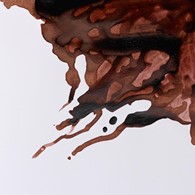 INK 14ml NUT BROWN -Tusz