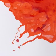 INK 14ml VERMILION -Tusz