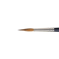 AWC Sable Pointed Rnd No.6 - pędzel