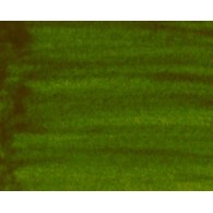 Gwasz kaligraficzny w płynie - Oliwkowy