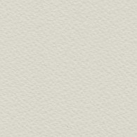 Bockingford CP Szary 300g 560x760mm - arkusz