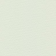 Bockingford CP Skorup.jajk 300g 760x560mm - arkusz