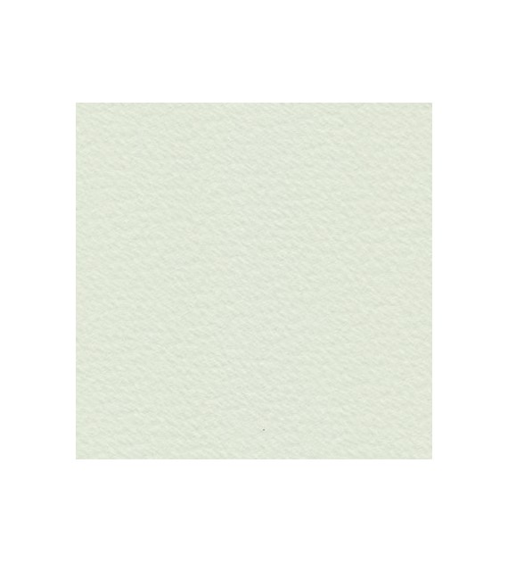 Bockingford CP Skorup.jajk 300g 760x560mm - arkusz