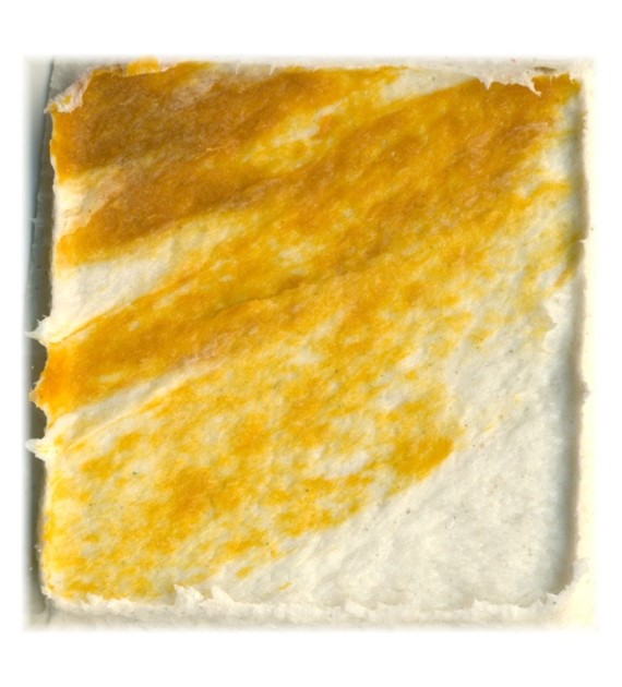 Golden Fiber Paste 473ml -medium