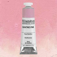 WB Dianthus Pink 37ml -farba