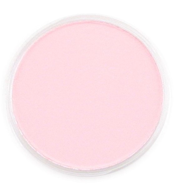 PanPastel Permanent Red Tint 9ml