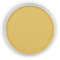 PanPastel METALLIC Light Gold 9ml