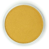 PanPastel METALLIC Rich Gold 9ml