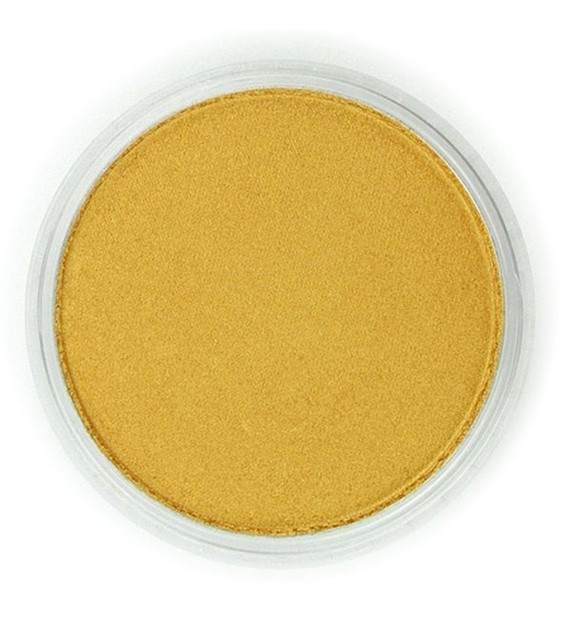 PanPastel METALLIC Rich Gold 9ml