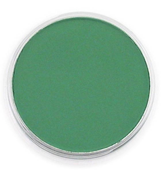 PanPastel Permanent Green Shade 9ml