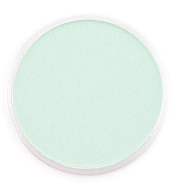 PanPastel Permanent Green Tint 9ml