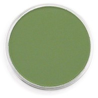PanPastel Chromium Oxide Green 9ml