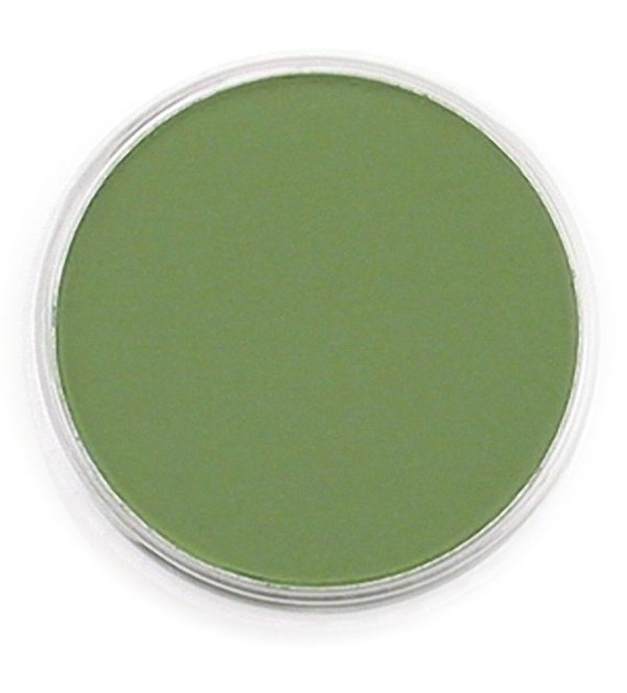 PanPastel Chromium Oxide Green 9ml