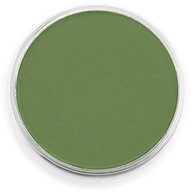 PanPastel Chromium Oxide Green Shade 9ml