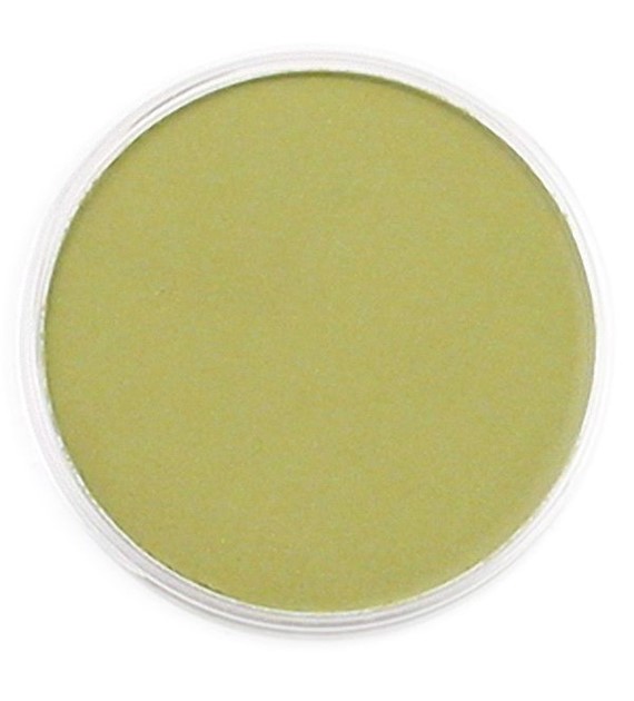 PanPastel Bright Yellow Green Shade 9ml