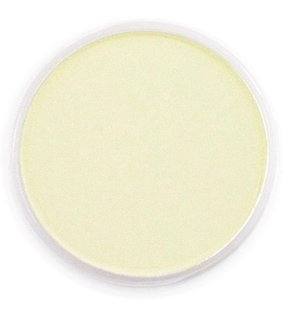 PanPastel Bright Yellow Green Tint 9ml