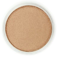 PanPastel METALLIC Bronze 9ml