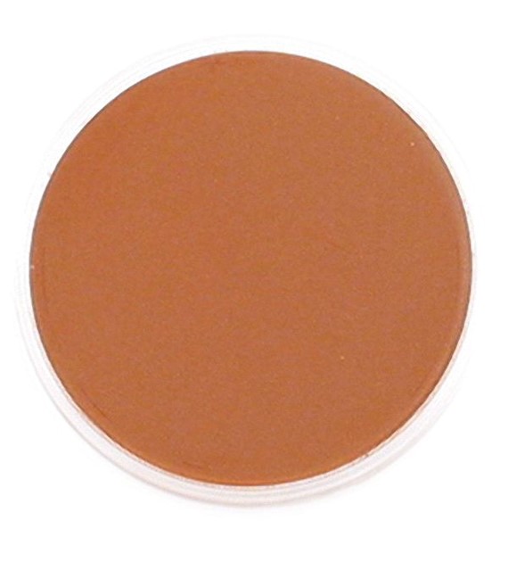 PanPastel Burnt Sienna 9ml
